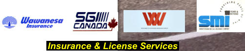 Insurance & License Services