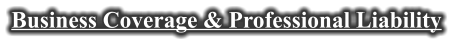 Business Coverage & Professional Liability